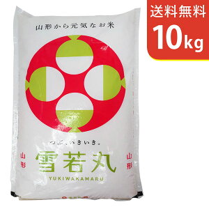 �y���������z�ߘa7�N�Y �V�� �R�`���Y ���� 10kg �����Y�ysmtb-TD�z�ysaitama�z