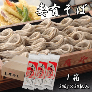 ȗL 1i20cj Ȃ ȗL  VY \Y  Yi А  C 邻 ` RV ccH 炩  