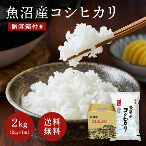 V  RVqJ Y 2kg ߘa7NY YRVqJ 2kg  Mtg i VY RVqJ      R ͂  ɂ ٓ ӂ  