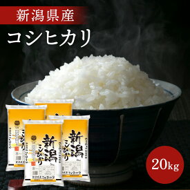 米 新潟県 コシヒカリ 新潟県産コシヒカリ 10kg （5kg×2） 令和5年産 お米 白米 精米 産地直送 個袋タイプ 送料無料