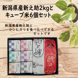 新米 令和7年産 新潟県産新之助2kgとキューブ米6個セット 新之助 新潟県産 ギフト 新潟産新之助 コシヒカリ 贈答品 箱入り 内祝い 産地直送 送料無料