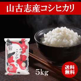 新米 米 コシヒカリ 新潟県 令和7年産 山古志産コシヒカリ 5kg コシヒカリ 新潟県産 山古志産 米 お米 白米 精米 もっちり もちもち 甘味 希少 美味しい おいしい ごはん ご飯 おにぎり お弁当 産地直送 送料無料