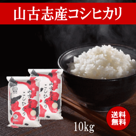 新米 米 コシヒカリ 新潟県 令和7年産 山古志産コシヒカリ 10kg（5kg×2） コシヒカリ 新潟県産 山古志産 米 お米 白米 精米 もっちり もちもち 甘味 希少 美味しい おいしい ご飯 おにぎり 産地直送 送料無料