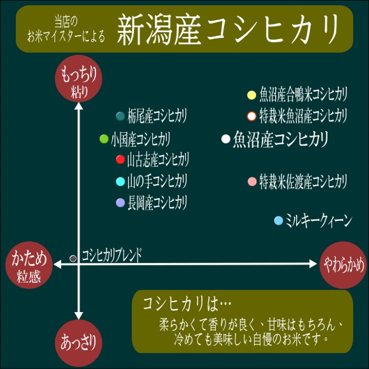 コシヒカリ 米 10kg 魚沼産コシヒカリ お米 10キロ 令和6年産 特