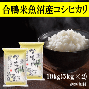 コシヒカリ 10kg 魚沼産の安い人気商品・通販・価格比較 - 価格.com