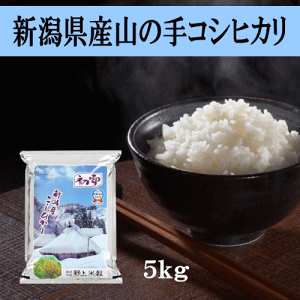 精米　コシヒカリ　新潟産　5kg×4袋セット 楽天市場】受注精米 【 新潟県産 コシヒカリ 】 ( 5kg ) 令和6
