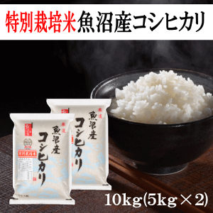 数量限定販売］令和5年産魚沼産コシヒカリ 25キロ｜Yahoo!フリマ