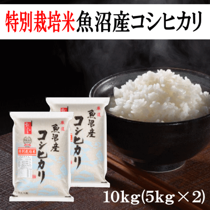 楽天市場】米 コシヒカリ 令和6年産 特別栽培米魚沼産 楽天市場】米 コシヒカリ 令和6年産 特別栽培米魚沼産