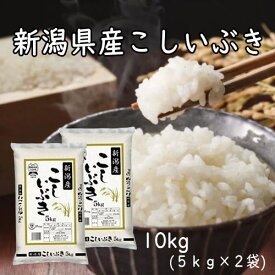 米 こしいぶき 令和7年産 新潟県産こしいぶき 10kg（5kg×2） 新潟県産 お米 白米 精米 産地直送 こしいぶき あっさり コシ もちもち 美味しい おいしい ごはん ご飯 おにぎり お弁当 送料無料