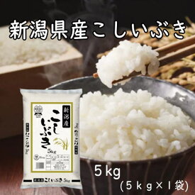 【スーパーセール期間中ポイント5倍】 米 こしいぶき 新潟産こしいぶき 5kg 新潟県産 令和5年産 米 お米 白米 精米 産地直送 こしいぶき あっさり コシ ツヤ もちもち 美味しい おいしい ごはん ご飯 おにぎり お弁当 送料無料