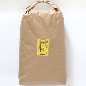 Ɩp ˈ ͕ 10kg  吼 3980~ȏ㑗 ǂ ₫ Lq̔  100 ~p