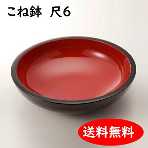 ˔ 6 48cm Αł1kg 吼 3980~ȏ㑗 Αł ΐ؂ Αł ˂΂