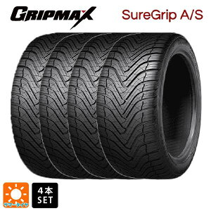 I[V[Y^C4{ 225/60R18 100W 18C` Obv}bNX VAObv A/S ubN^[ GRIPMAX Sure Grip A/S(BSW) Vi