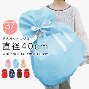 bsO   傫 TCY bsOp sDz e 37bg 37L ~^ В y[֑z[M 1/1]