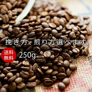 y 1000~|bL  z R[q[ uhR[q[ 250g ̂܂ ה҂ ҂ e҂ R[q[  蓤 IWiuh KOTENuh [֑ [M 1/1]