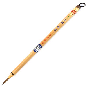 ʑM וM ʌoʑz@ yʌoEʍ׎z