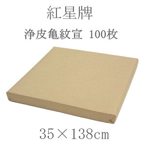 gv T ؁i35×138cmj100