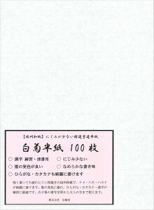 yz e 100 iKEpj