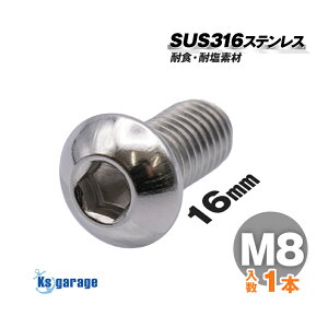 SUS316 XeX {g M8×16 P1.25 ioj {^{g SlW LEDCg  lW D {[g D ~p XeX{g pCvx[X pCv x Œ ϐH }O[