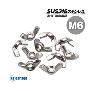 ibg M6 sb`1.00 y10z SUS316 XeX n ECOibg o^tCibg