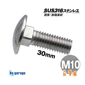 SUS316 XeX {g M10×30 P1.50 ioj pۓ{g SlW LEDCg  Œ lW D {[g D ~p XeX{g p{g ϐH }O[hXeX