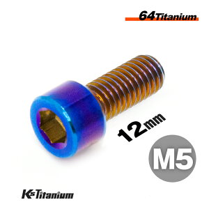 チタンボルト M5×12 P0.8 焼き色 1本 64チタン キャップボルト 全ネジ Ti-6Al-4V Gr5 チタン合金 バイク パーツ 自転車 ボルト M5 チタン カスタム ドレスアップ 旧車 レストア 修理 部品