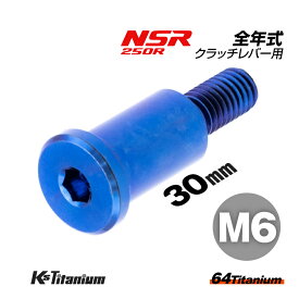 64チタン製 クラッチレバーピポットボルト M6×30 P1.0 スレッド長:14mm ブルー 1本売り ホンダ NSR250R 全年式 クラッチレバー ボルト レバーピポットボルトチタンボルト バイク レストア パーツ チタン カスタム ドレスアップ 旧車 レストア 修理 部品