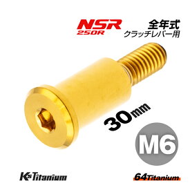 64チタン製 クラッチレバーピポットボルト M6×30 P1.0 スレッド長:14mm ゴールド 1本売り ホンダ NSR250R 全年式 クラッチレバー ボルト レバーピポットボルトチタンボルト バイク レストア パーツ チタン カスタム ドレスアップ 旧車 レストア 修理 部品