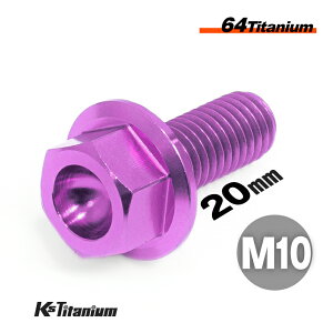 チタンボルト M10×20 P1.25 パープル 1本 64チタン フランジボルト 全ネジ Ti-6Al-4V Gr5 チタン合金 バイク パーツ 自転車 ボルト M10 チタン カスタム ドレスアップ 旧車 レストア 修理 部品