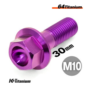 チタンボルト M10×30 P1.25 パープル 64チタン フランジボルト RZ250R等 フロントキャリパー リアキャリパー Ti-6Al-4V Gr5 チタン合金 バイク パーツ 自転車