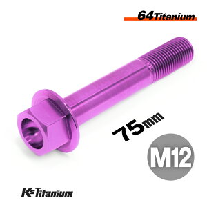 チタンボルト M12×75 P1.25 パープル 1本 64チタン フランジボルト スレッド 25mm Ti-6Al-4V Gr5 チタン合金 バイク パーツ 自転車 ボルト M12 チタン カスタム ドレスアップ 旧車 レストア 修理 部品