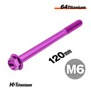 チタンボルト M6×120 P1.0 パープル 1本 64チタン フランジボルト スレッド 20mm Ti-6Al-4V Gr5 チタン合金 バイク パーツ 自転車 ボルト M6 チタン カスタム ドレスアップ 旧車 レストア 修理 部品