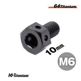 チタンボルト ブラック 黒 M6×10 P1.0 64チタン 六角ヘッドボルトドレンボルト ワイヤーロック ワイヤリング Ti-6Al-4V Gr5 フロントフォーク アウターチューブ等 バイク パーツ ボルト M6 チタン