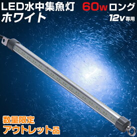 【アウトレット商品】 水中集魚灯 LED 集魚灯 夜釣り 夜焚き ホタルイカ 集魚ライト 夜灯 イカ シラスウナギ タチウオ アジ ナイトタイラバ イカ釣り に効果的な ライト 照明 灯 60w 白 12v SMD×384発 10560ルーメン バッテリー点灯も可