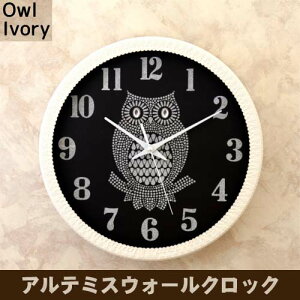 Ae~XEH[NbN Owl(Ivory) HWC-55M-IV  ykCEE sz