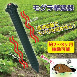 Oފ(dr) 㓡@808551 ykCEE sz