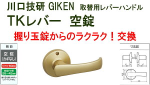 GIKEN@Z@ʎ֗pTKo[nh@ DT1-1M-MG@S[hsB-03-9t