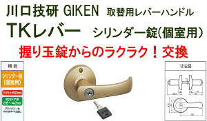 GIKEN@Z@ʎ֗pTKo[nh@V_[@DT1-5M-MG@S[hsB-03-1t