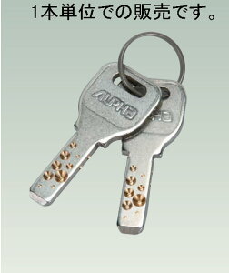 At@@ALPHA@edbNPLUSp@pXyAL[y󒍐iz