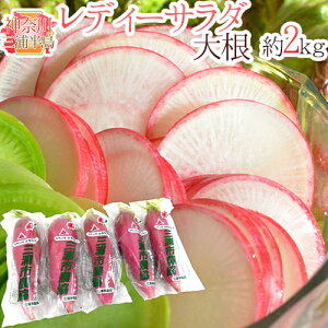 _ސ쌧OY hfB[T_卪h Gi 5`7{O 2kgy\ 11{ȍ~z 