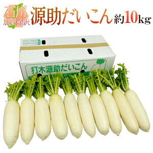 ΐ쌧 hh Gi 8`10{O 10kgy\ 11{ȍ~z 