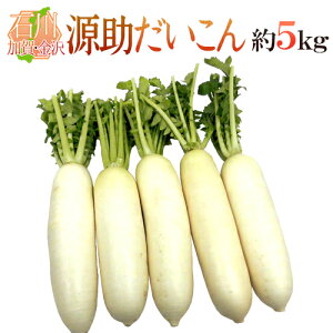 hΐ쌧 h Gi 4`5{O 5kgy\ 11{ȍ~z 