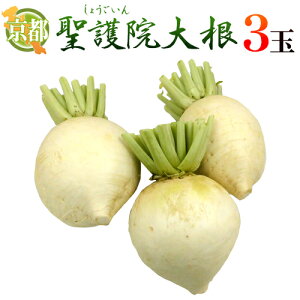 hs{ @卪h 3ʁi1ʏdʖ1`2kgOjy\ 11{ȍ~z 