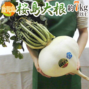  h卪h Gi 7kgȏy\ 1ȍ~z 