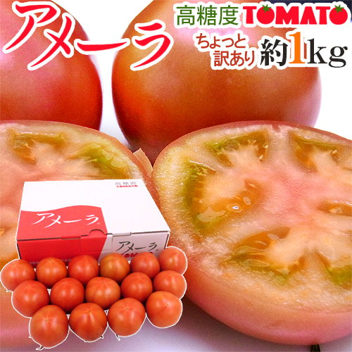 アメーラトマト - トマトの人気商品・通販・価格比較 - 価格.com