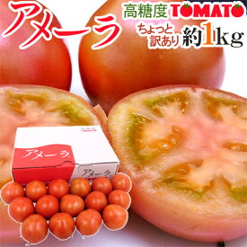 静岡県 ”高糖度フルーツトマト アメーラ” 大きさおまかせ 約1kg ほんのちょっと訳あり 化粧箱入り【予約 入荷次第発送】