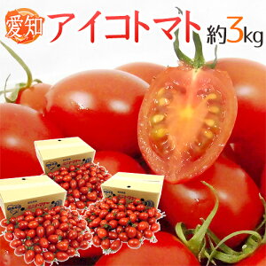 mY hACRg}gh Gi 3kgy\ 11{ȍ~z 