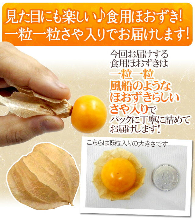 楽天市場】”食用ホオズキ” 12〜20粒 風袋込約100g 産地厳選 ほおずき 
