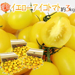 mY hCG[ACRg}gh Gi 3kgy\ 11{ȍ~z 