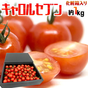 ミニトマト 1kgの人気商品 通販 価格比較 価格 Com